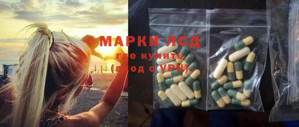стафф Арсеньев
