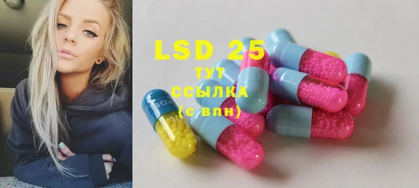 эйфоретик Аркадак