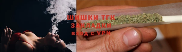 стафф Арсеньев