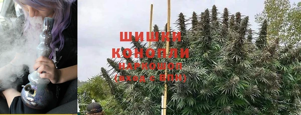 эйфоретик Аркадак