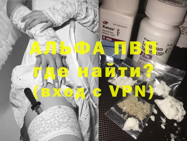 стафф Арсеньев