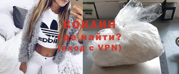 стафф Арсеньев